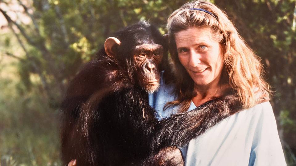Ann Olivekrona  Mitt i Afrika