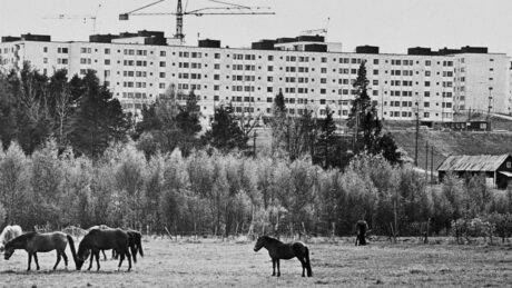 Miljonprogrammet i Stockholm